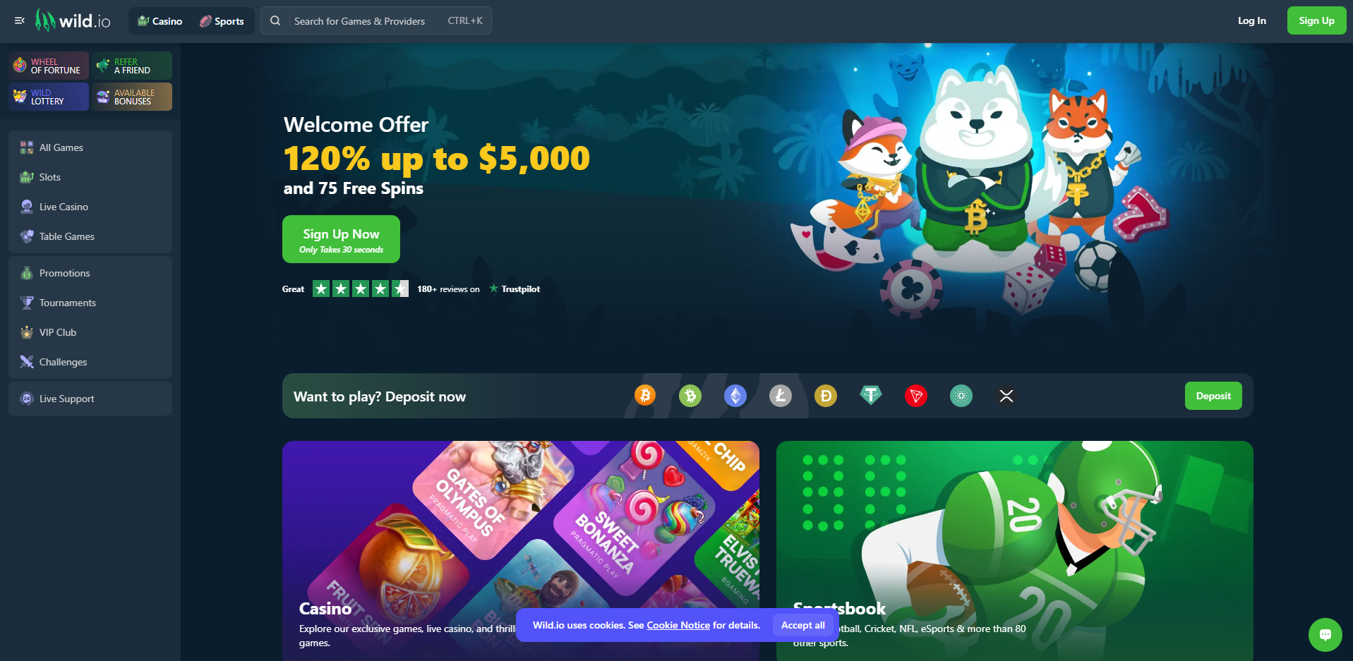 Wild.io Casino Startseite