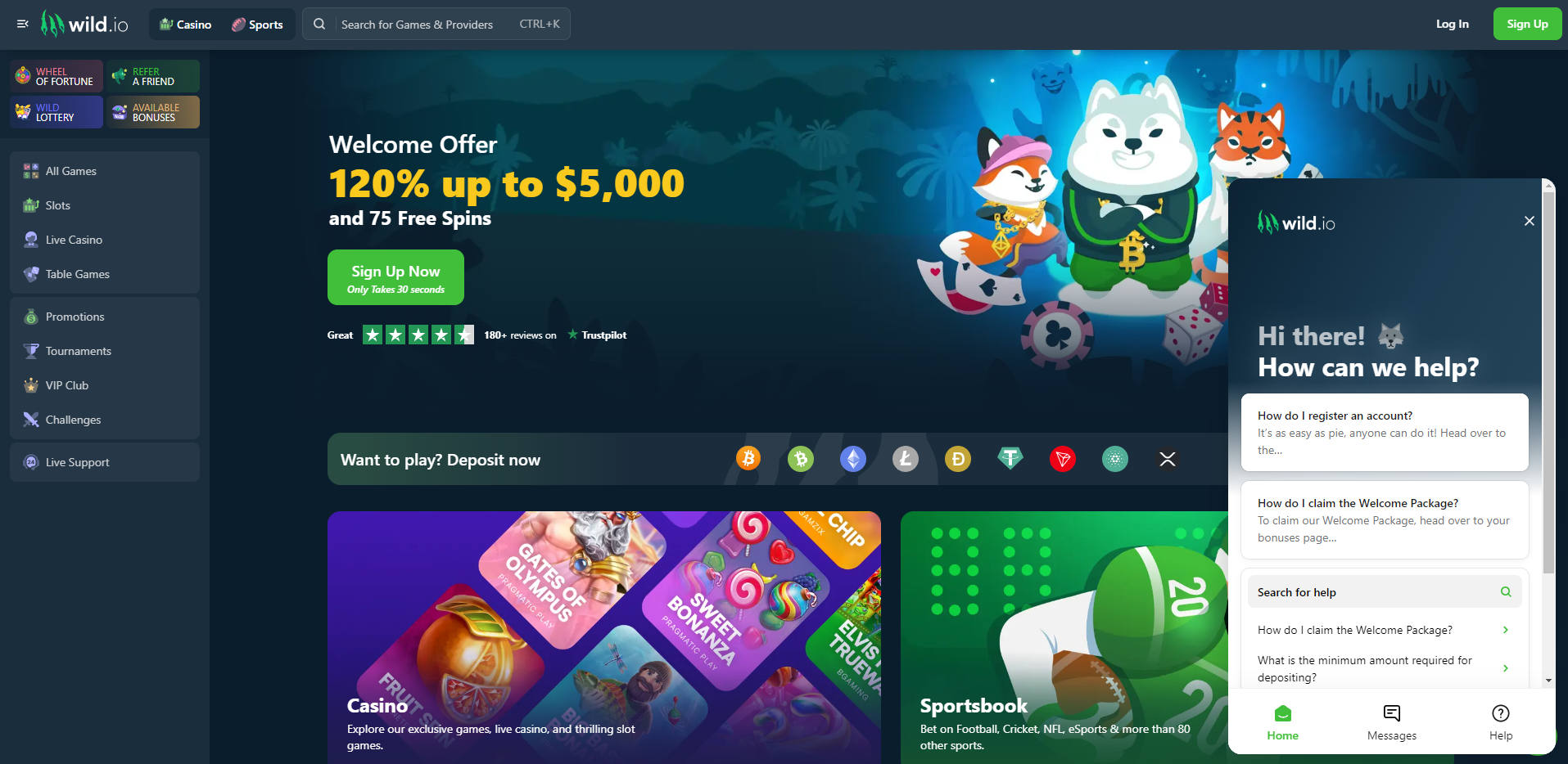 Wild.io Casino Live Casino